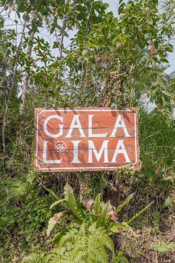 Galalima Glamping By Agata Otel Meliling Dış mekan fotoğraf